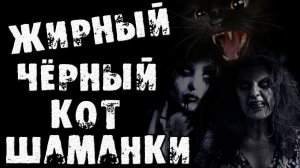 Страшные истории на ночь - ЖИРНЫЙ ЧЁРНЫЙ КОТ ШАМАНКИ - Страшилки на ночь, мистика