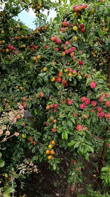 1000003974.mp4 смотреть онлайн