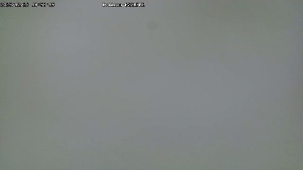 LIVE: channel43489494