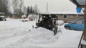 Носорог чистит территорию