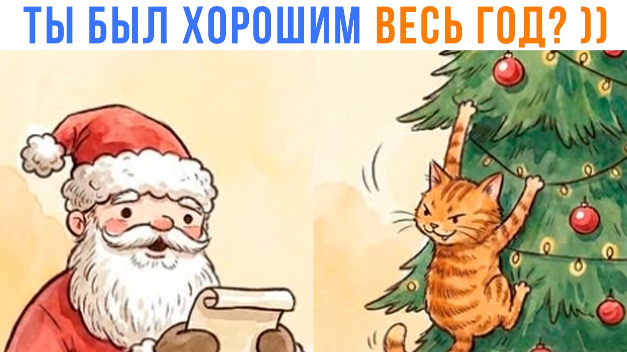 КОТ-ХУЛИГАН ))) Приколы | Мемозг 1702 смотреть онлайн