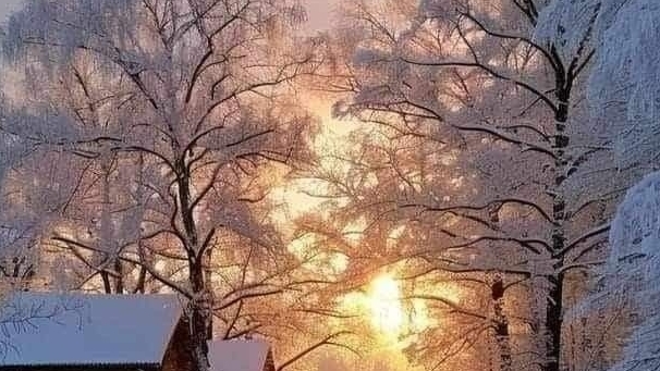 29-12-2025 Жизнь в селе, как живут простые люди.