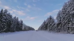 Вот так и живём... Декабрь 2025 года. Вторая половина