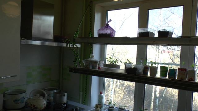 ОЛЯ ПОЛКА РАССАДА смотреть онлайн