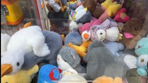 ЗАГЛЯНЕМ В АППАРАТЫ НА 2-й ДЕНЬ 😜