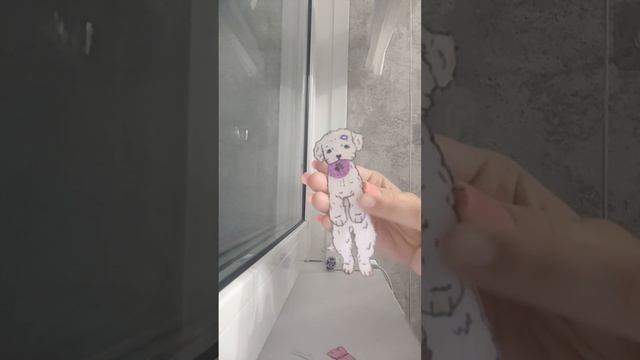 Бумажные собаки? Распаковка посылки с ozon смотреть онлайн