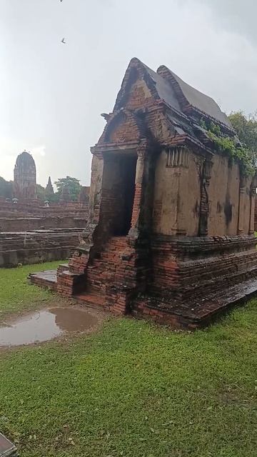 Взгляд, который пережил войну, огонь и время смотреть онлайн