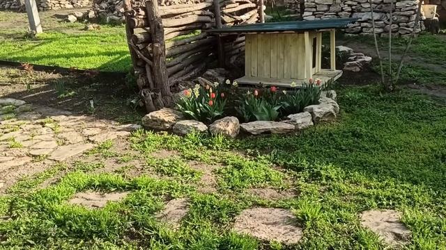 5 апреля 2025 г. Весь день кошу траву. смотреть онлайн