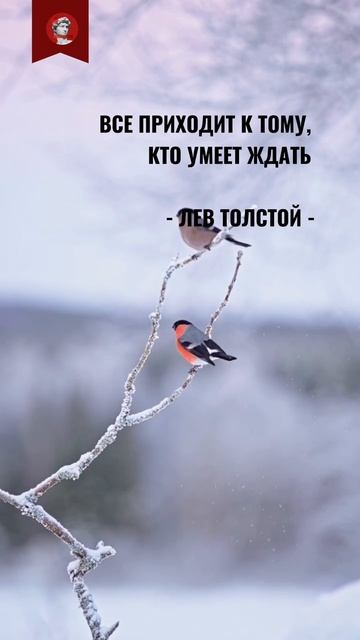 А вы умеете ждать? смотреть онлайн