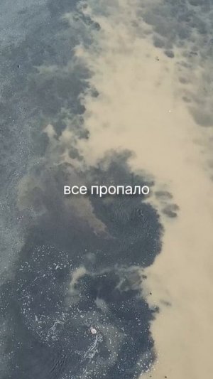 Пруд или садки? Но лидер УЗВ: рыба растёт круглый год под контролем. Сейчас строим такую ферму вТуле