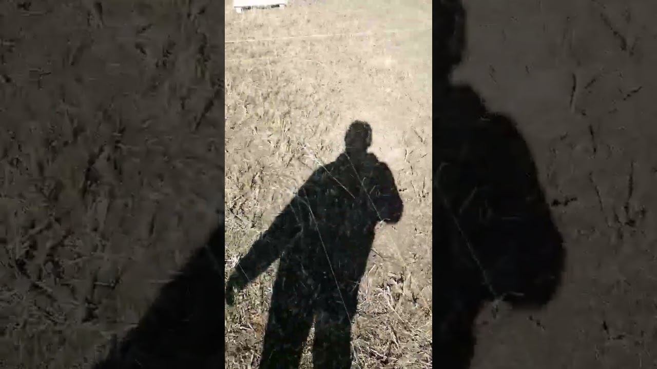 Ну поехали!!! смотреть онлайн