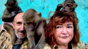 Тося СОШЛА с УМА! Я думала что Люся меня жестко встретила, но то, что вытворила Тося….(((