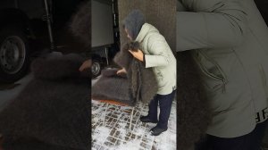 89507716355 Пуховые платочки для тепла. Натуральные.