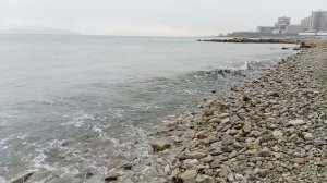 Новороссийск 2025 ( 29.12.2025 ) 🎄❄️🌊