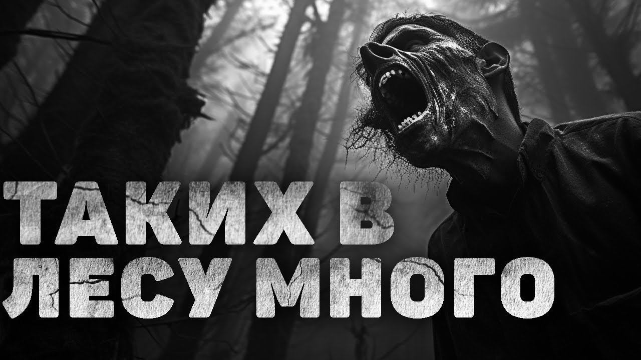МЕНЯ БРОСИЛИ В ЛЕСУ НА КОРМ ИМ. Страшилки. Страшные истории на ночь. Аудиокниги