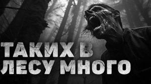 МЕНЯ БРОСИЛИ В ЛЕСУ НА КОРМ ИМ. Страшилки. Страшные истории на ночь. Аудиокниги