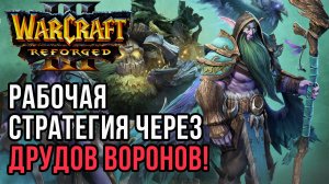 Рабочая Стратегия через ДРУИДОВ ВОРОНОВ: Infi (Hum) vs Lawliet (Ne) Warcraft 3 Reforged