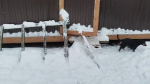 29.12.2025г. Наконец-то дождались 🙏 снега ⛄Красота и благодать 👍