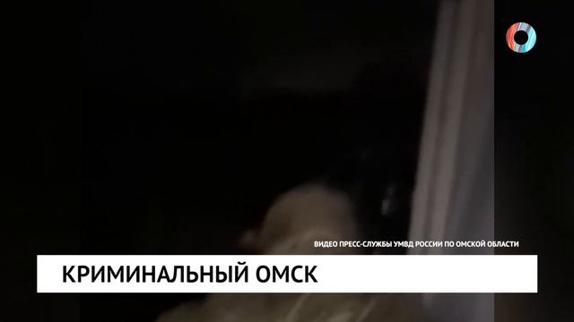 Криминальный Омск смотреть онлайн