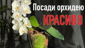 Интерьерная посадка | Закрытая система