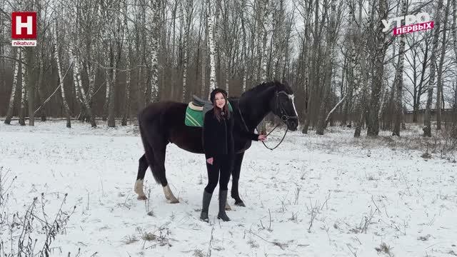 Год лошади | ЗООМАНИЯ смотреть онлайн
