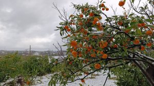 40) На зиму в Абхазию-4. Снег в Абхазии