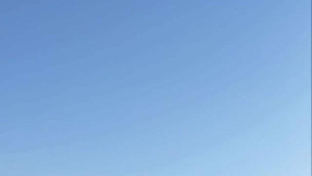 В горах Турции орёл в полёте схватил дрон, сделал "селфи" и сбросил аппарат вниз смотреть онлайн