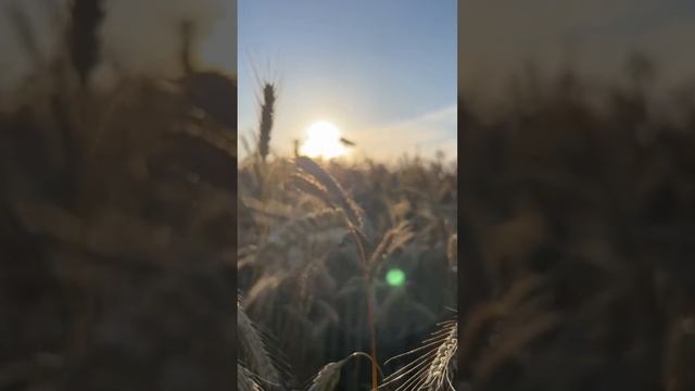 Вселенная 1