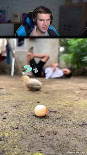 НЕ СТОИТ ВКЛЮЧАТЬ ЗВУК!🤫🔇 (ЭТО ОШИБКА!) #shorts #шортс #интересно #животные #хоррор #прикол #мем