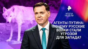 Новые успехи на СВО: освобождение городов / Рождество под угрозой / Русские волки-агенты / 28.12.25