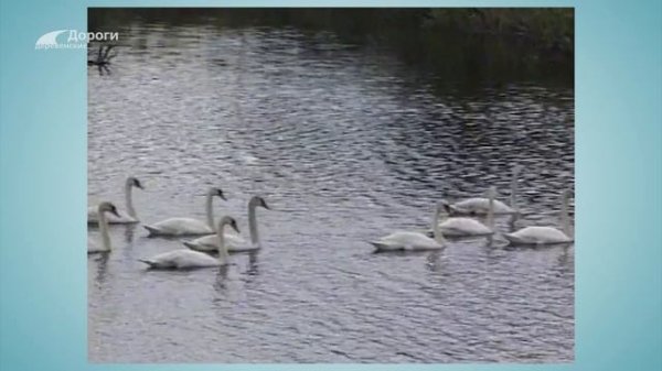 Дороги деревенские (274) 29.12.25