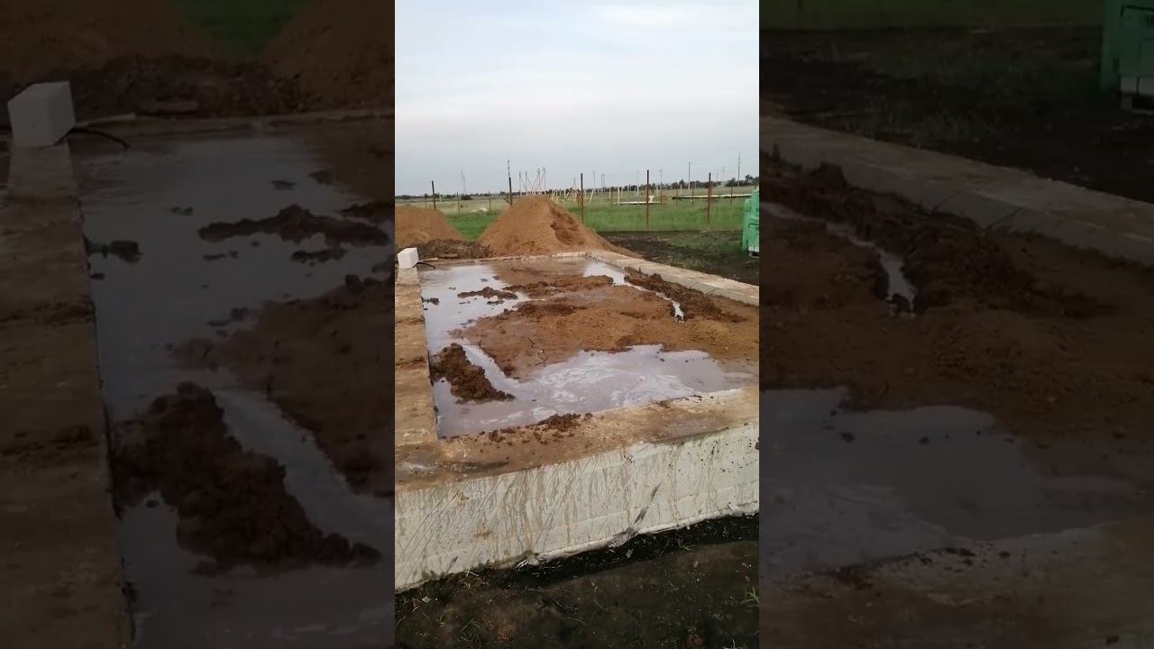 Что здесь происходит? смотреть онлайн