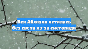 Вся Абхазия осталась без света из-за снегопада