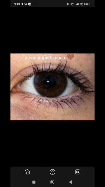 всего 40 процентов смотреть онлайн