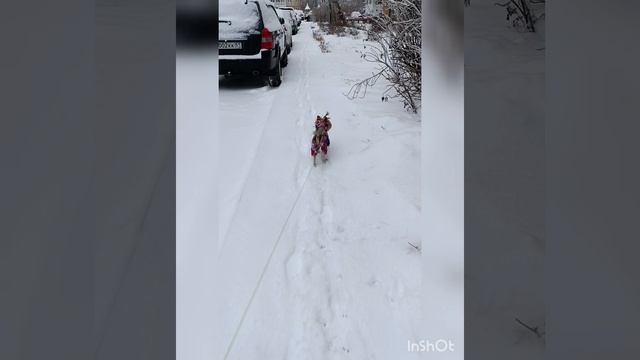 Ура!!! Снег!!!!