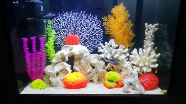 Аквариум на заказ