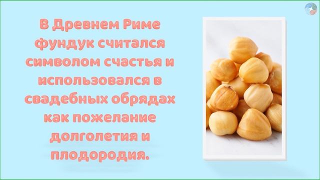 ТОП 5 самых полезных орехов для здоровья смотреть онлайн