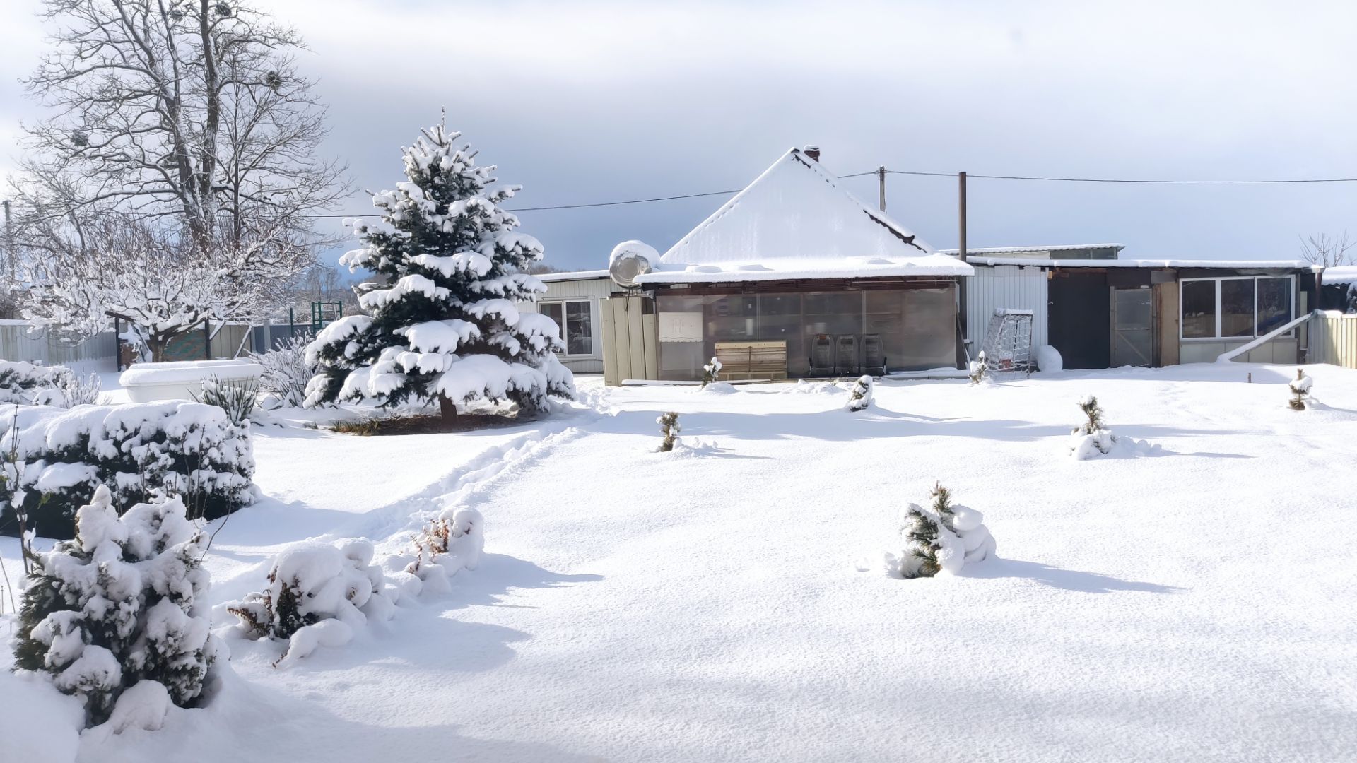 Настоящая зима.