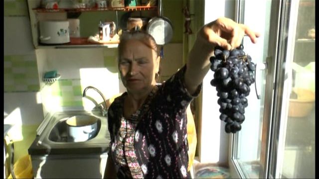 ОЛЯ ВИНОГРАД 2013_14 смотреть онлайн