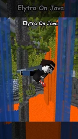 Java Elytra vs Bedrock Elytra 💀