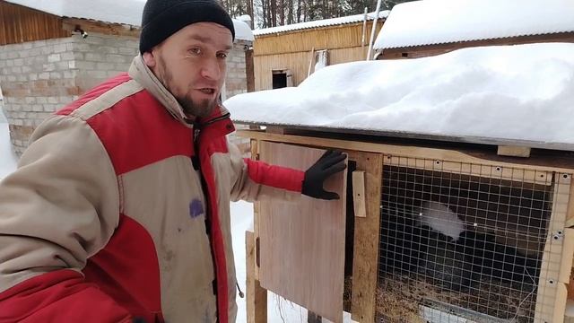 Разведение кроликов