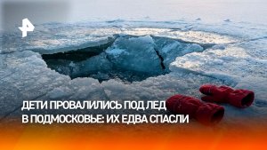 Двое прохожих вытащили провалившихся под лед детей в Подмосковье