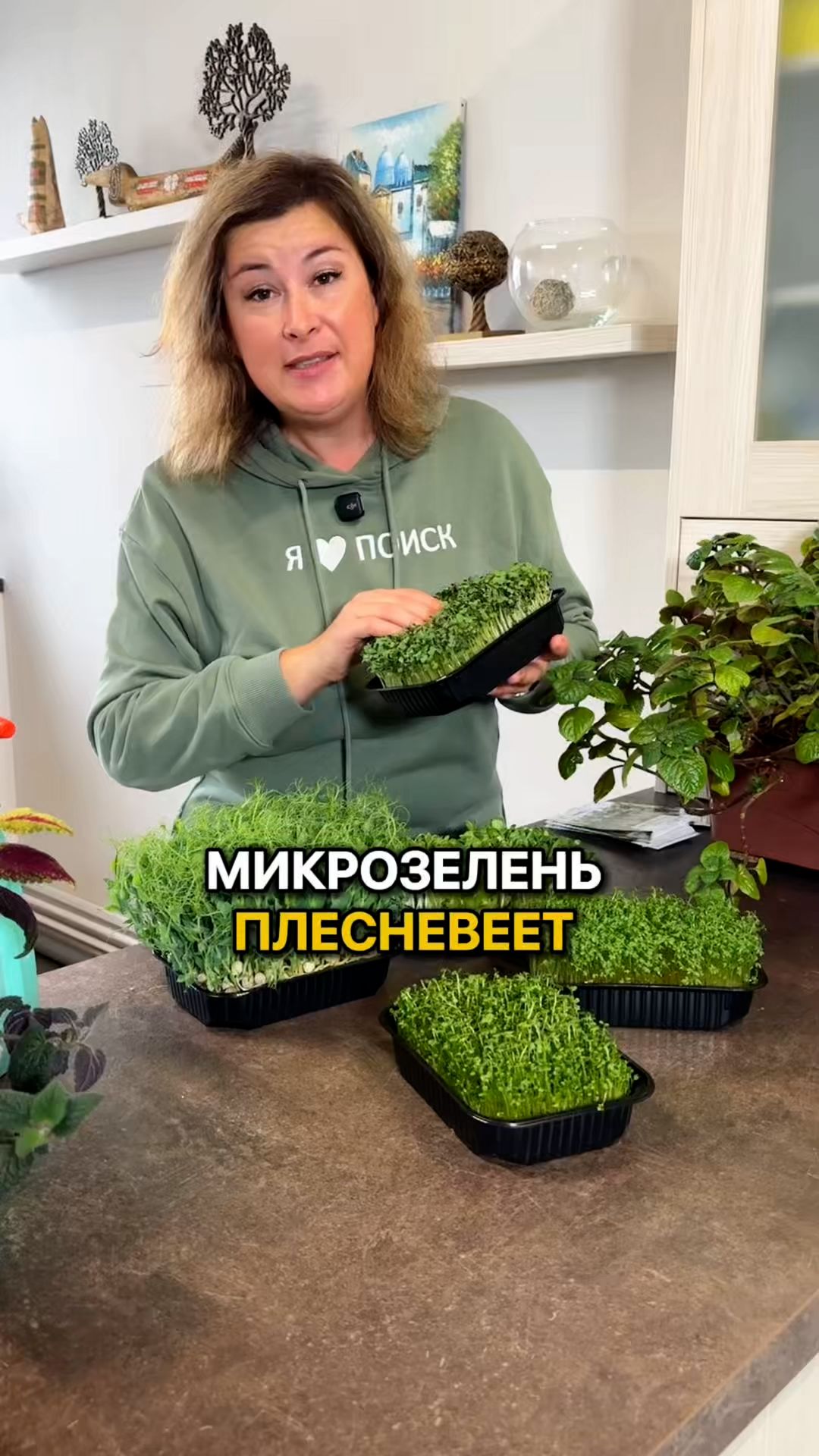 Что делать, если микрозелень ПЛЕСНЕВЕЕТ?