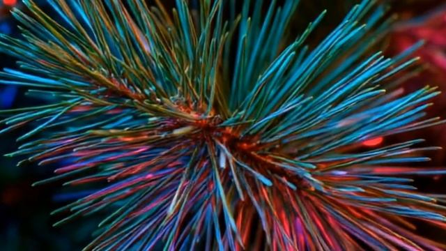 Маленькой ёлочке холодно зимой (Иней Remix 2025) ❄️ Премьера сибирского ремикса! смотреть онлайн