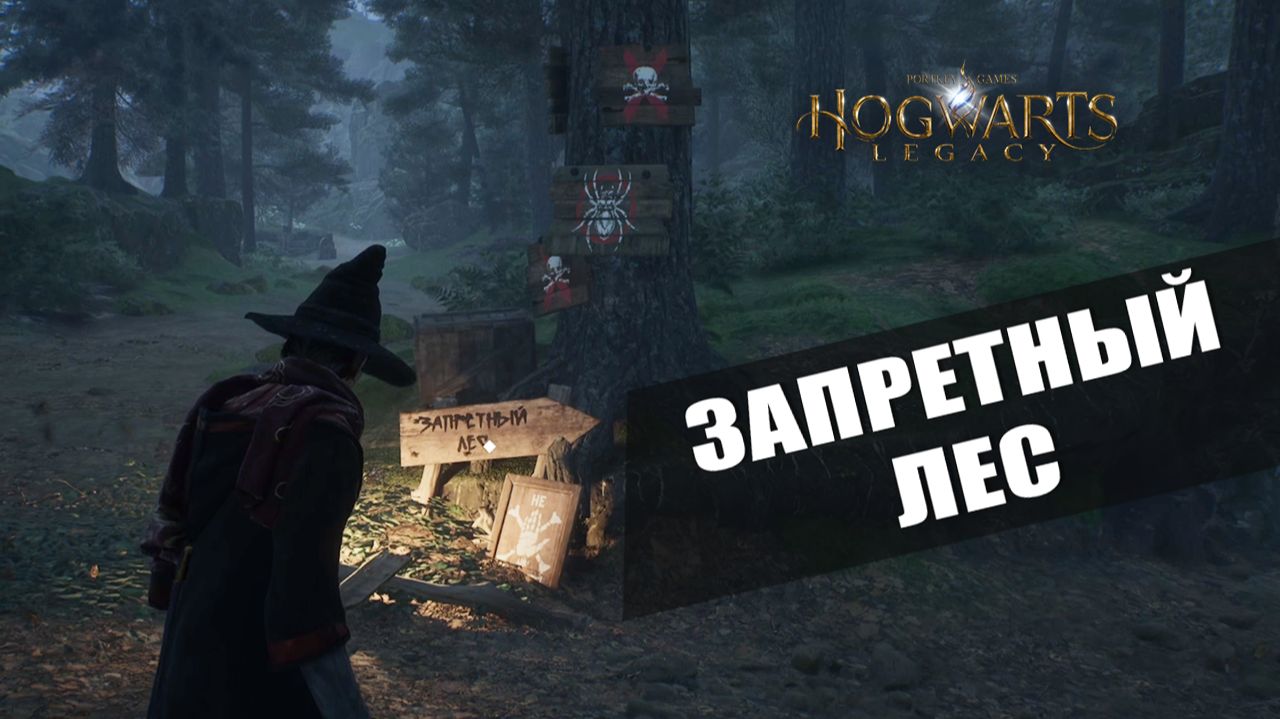 ЗАПРЕТНЫЙ ЛЕС — Hogwarts Legacy [#6]