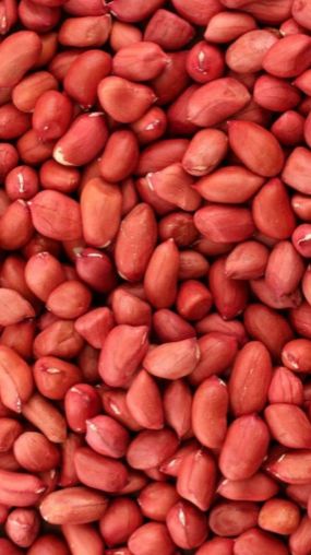 Где и как лучше сушить арахис смотреть онлайн