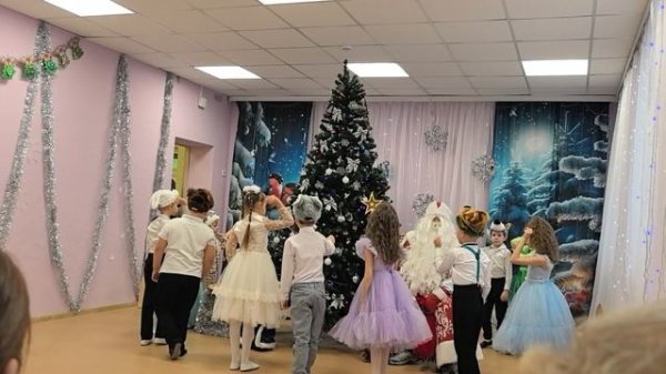 Чапаевск дед мороз метис