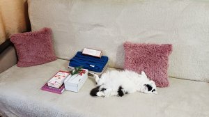 Новогодние подарки/Налепила домашних пельмешков