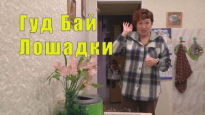 ЛОШАДИНАЯ ЭПОПЕЯ ИДЕТ К КОНЦУ / 25 и 26 декабря 2025