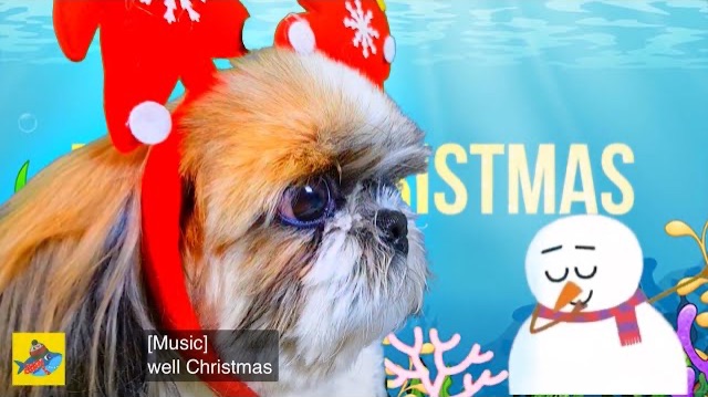 Новогодняя детская песня Акуленок Беби Шарк или Baby shark Christmas